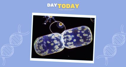 Ходімо далі? Наступна стаття