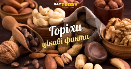 Ходімо далі? Наступна стаття