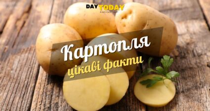 Ходімо далі? Наступна стаття