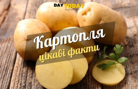 Цікаві факти про картоплю