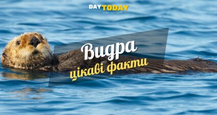 Ходімо далі? Наступна стаття