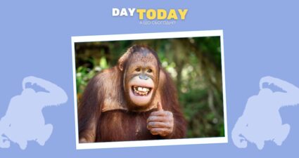 Ходімо далі? Наступна стаття