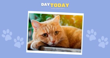 Ходімо далі? Наступна стаття