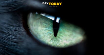 Ходімо далі? Наступна стаття