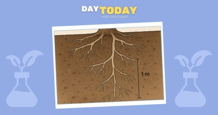 Ходімо далі? Наступна стаття