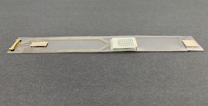 Фото An-Yi Chang