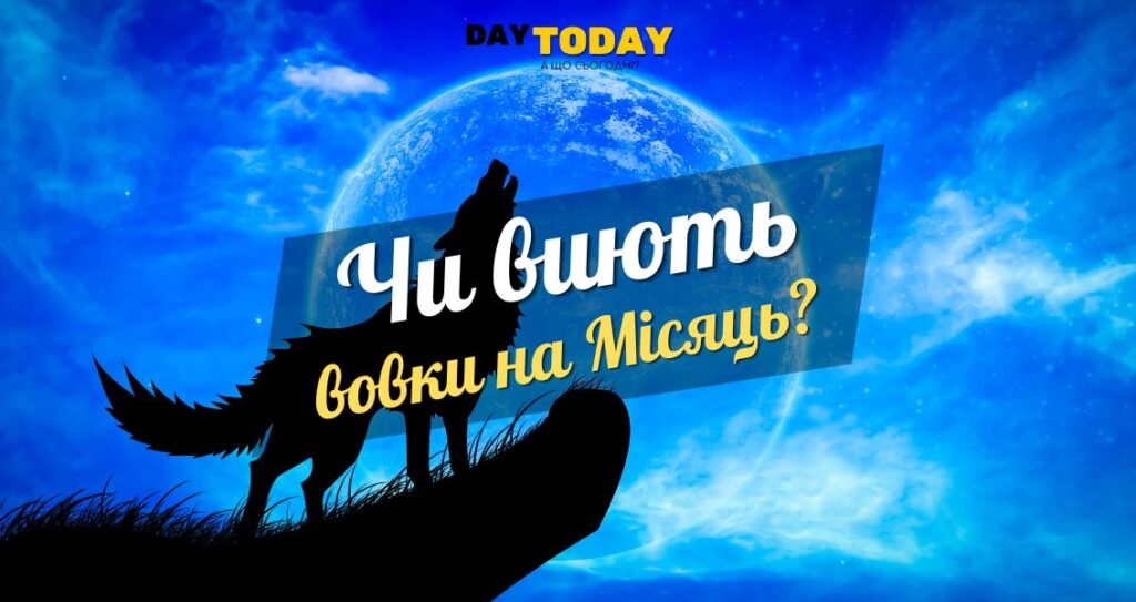 Чи виють вовки на місяць?