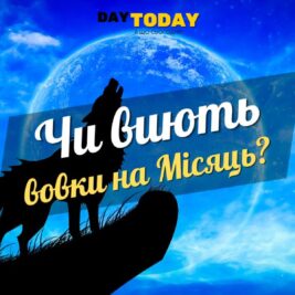 Чи виють вовки на місяць?