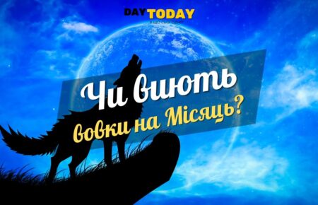 Чи виють вовки на місяць?