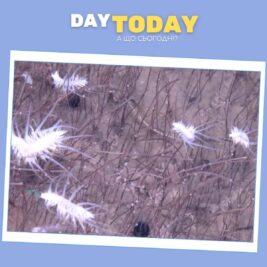 У Маріанській западині виявлено найглибше відоме скупчення тварин на планеті