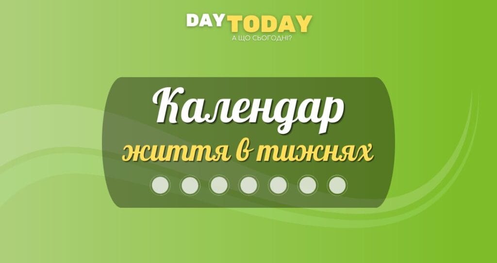 Календар життя в тижнях