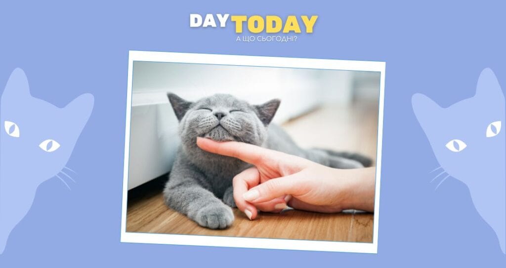 Коти єдині тварини, що муркочуть?