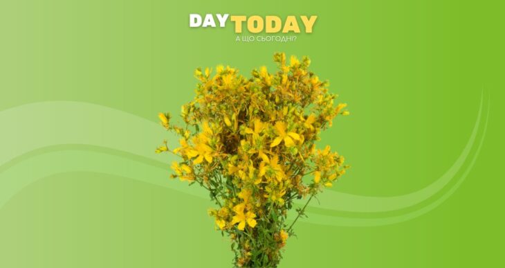 Дослідники перевірили 64 натуральні засоби від депресії — лише деякі дійсно ефективні