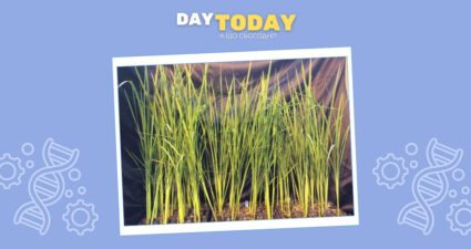 Ходімо далі? Наступна стаття