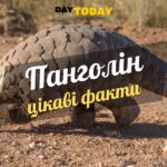 Цікаві факти про панголінів