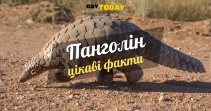 Ходімо далі? Наступна стаття