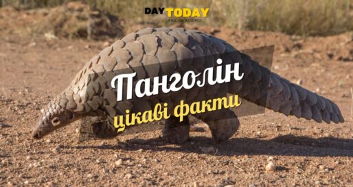 Цікаві факти про панголінів