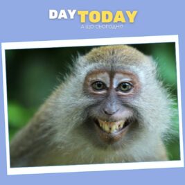 Як п’яні мавпи могли допомогти людству еволюціонувати