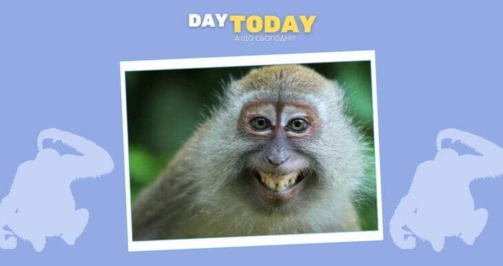 Як п’яні мавпи могли допомогти людству еволюціонувати