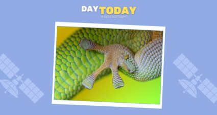 Ходімо далі? Наступна стаття