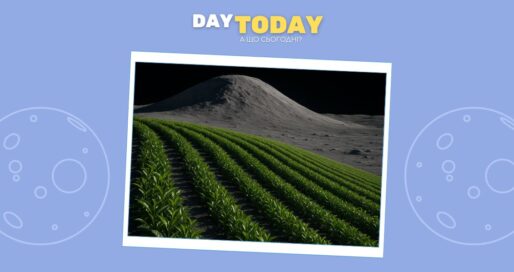 Астронавти на Місяці зможуть вирощувати чай