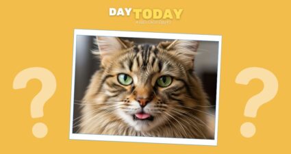 Ходімо далі? Наступна стаття