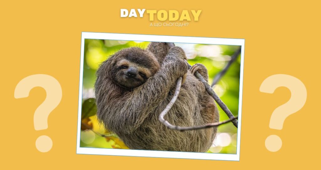 Чому лінивці такі повільні?