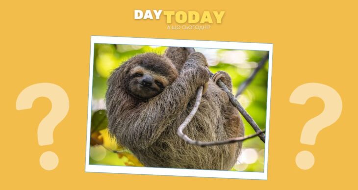 Чому лінивці такі повільні?