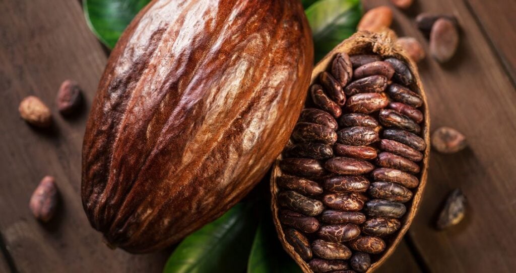 Какао-стручки та какао-боби