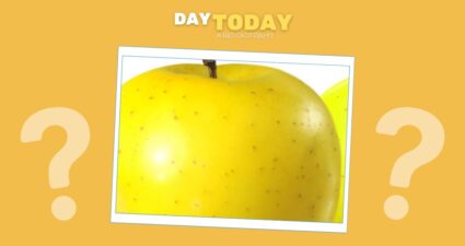 Ходімо далі? Наступна стаття