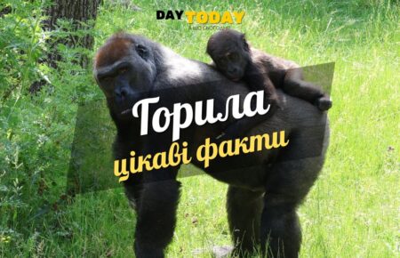 TSikavi fakty pro horyl