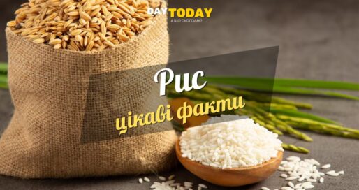 Цікаві факти про рис