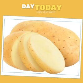 Чи можна їсти сиру картоплю?