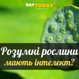 10 таємниць інтелекту рослин