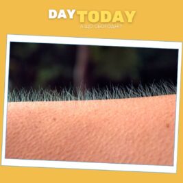 Чому зʼявляються «мурашки» від страху чи натхнення