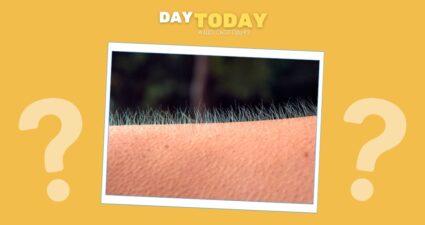 Ходімо далі? Наступна стаття