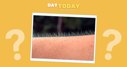 Чому зʼявляються «мурашки» від страху чи натхнення