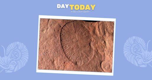 Гриби підготували Землю до життя на суші набагато раніше, ніж вважалося