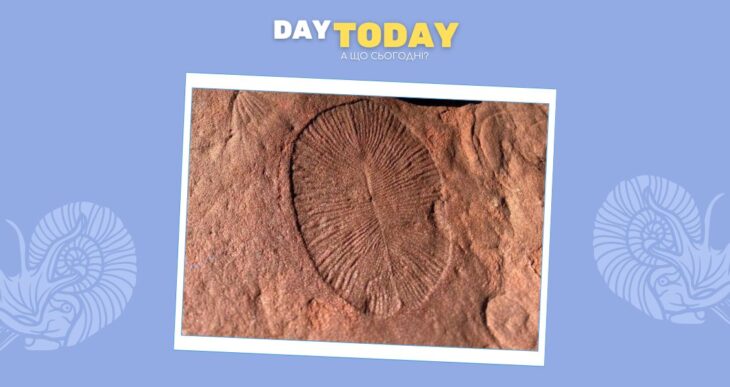 Гриби підготували Землю до життя на суші набагато раніше, ніж вважалося