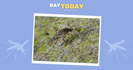 Ходімо далі? Наступна стаття