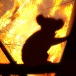 Всесвітній день Льюїса