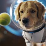 OpenAI запускає Sora — новий застосунок у стилі TikTok разом із моделлю Sora 2
