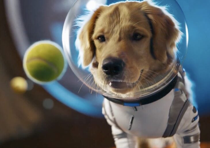 OpenAI запускає Sora — новий застосунок у стилі TikTok разом із моделлю Sora 2