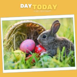 Звідки взявся Великодній кролик?