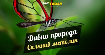 Ходімо далі? Наступна стаття