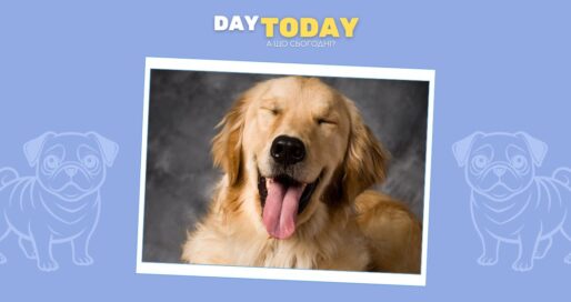 Люди та золотисті ретривери мають несподіваний генетичний зв’язок