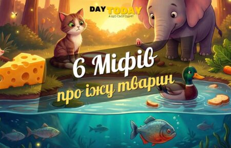 6 міфів про те, що їдять тварини