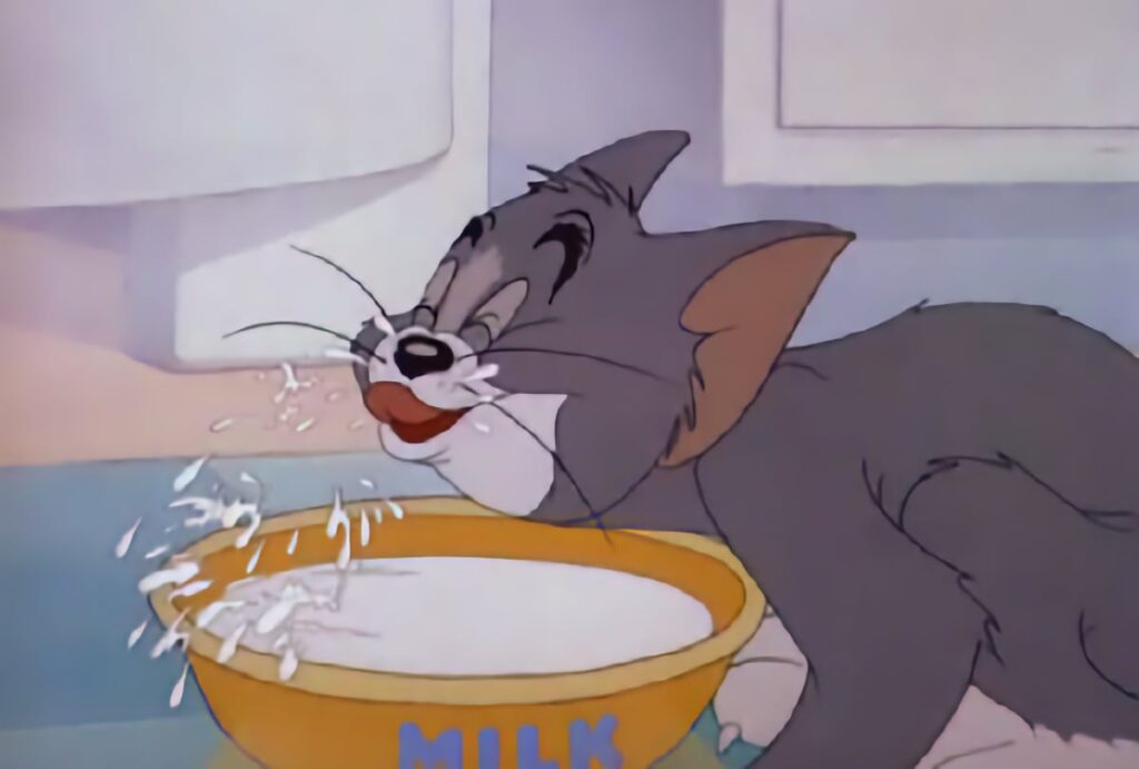 moloko