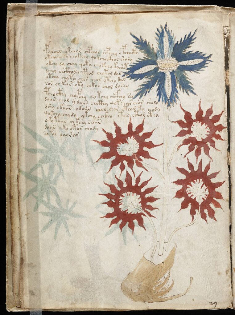 960px Voynich Manuscript 32