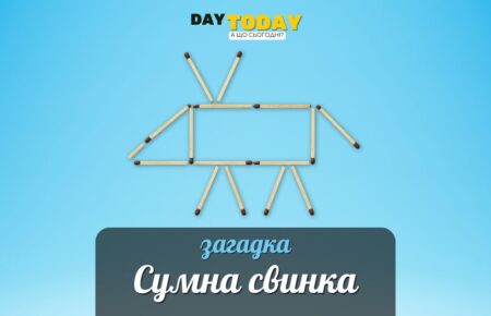 Розвесели свинку: головоломка із сірниками